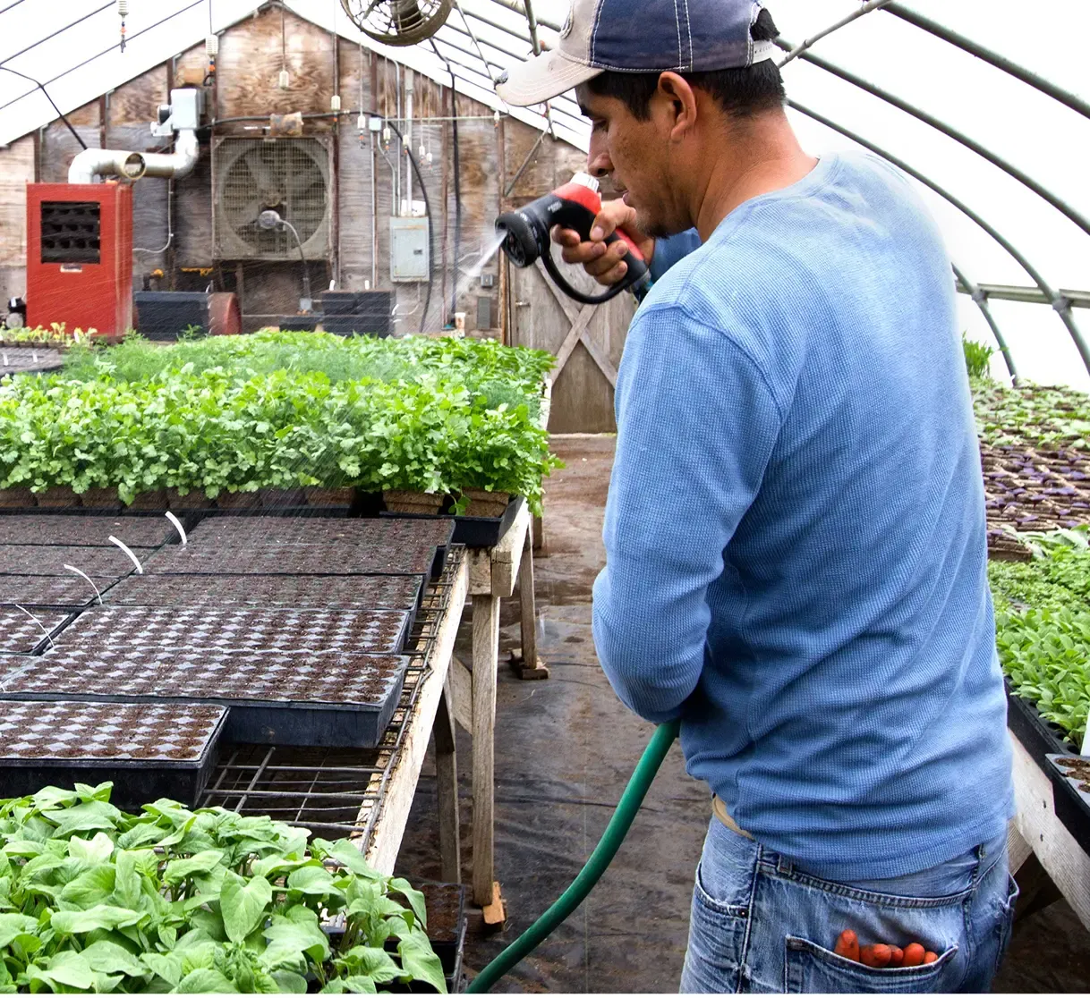 McEnroe Organic Farm location